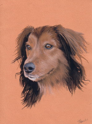 3.chien_dessin